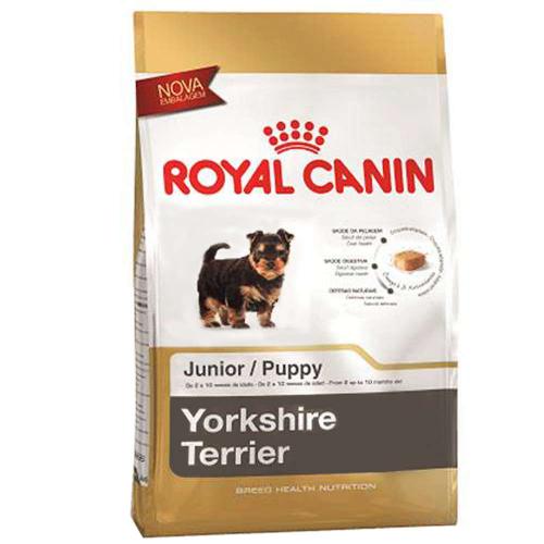 Royal-Junior-Yorkshire